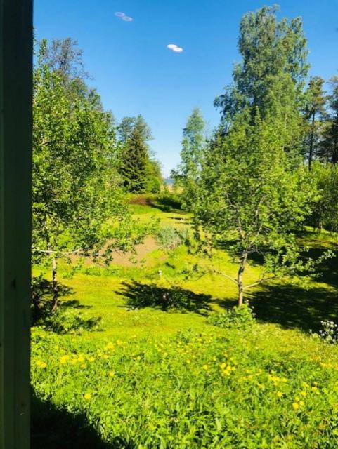 Villa-cottage With Sauna Apartment Altja